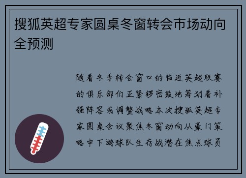 搜狐英超专家圆桌冬窗转会市场动向全预测